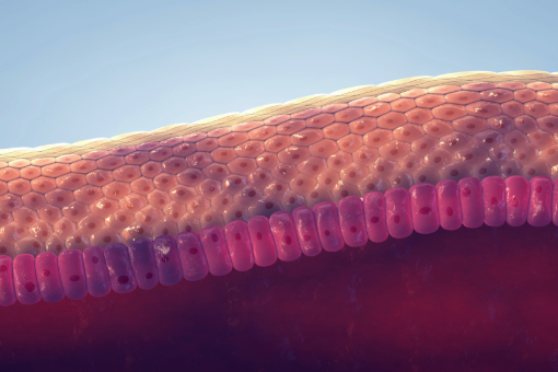 HUMITOPIC kosmetyki do skóry atopowej